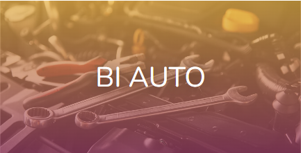 BI AUTO